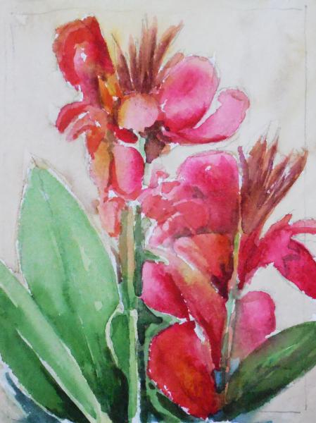Watercolor: Canna Flowers - 5