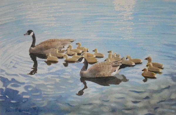 Family--PapaMamaand19Goslings-20x13-180506.jpg