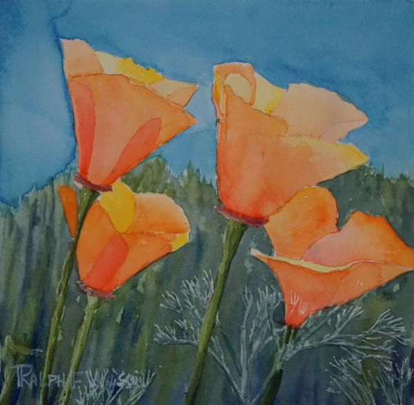 FourPoppies-8x8-201022.jpg