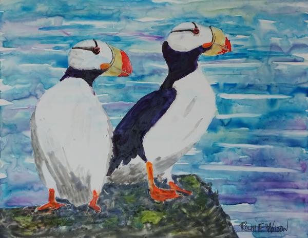 HornedPuffinPair-10x13-191120.jpg