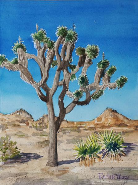 JoshuaTree-10x14-191112.jpg