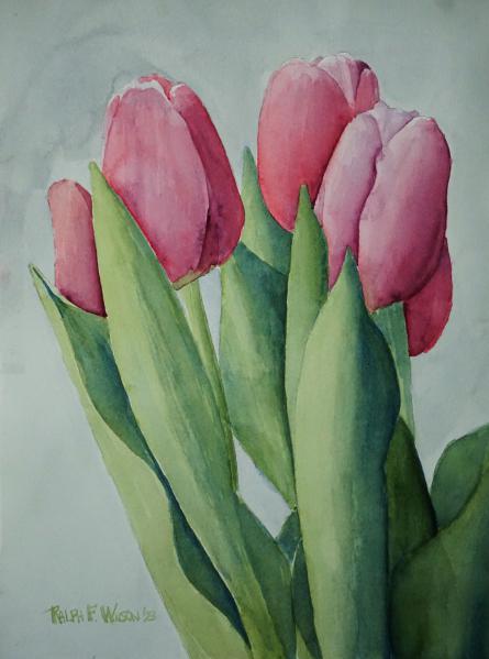 Tulips-10x14-230724.jpg