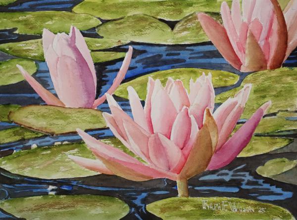 WaterLiliesforMyBirthday-14x10-250802.jpg