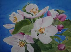 AppleBlossomTime-14x10-220410.jpg