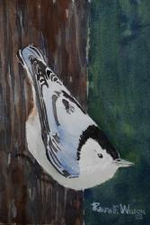 Black-HeadedNuthatch-7x10-230725jpg.jpg