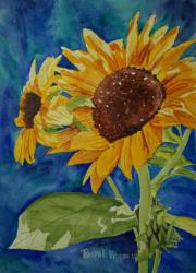 BreezySunflowersatPicazoCafe-10x14-260922.jpg