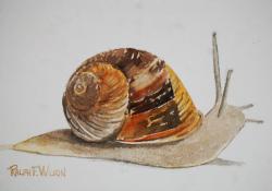 GardenSnailSlime-10x7-220707.jpg