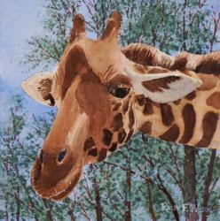 Giraffe-10x10-211030.jpg