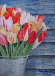 HalfBucketofTulips-10x14-230523.jpg