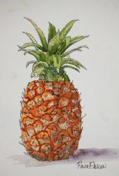 Pineapple-7x10-200713.jpg