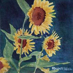 ProudSunflowers-8x8-180728.jpg