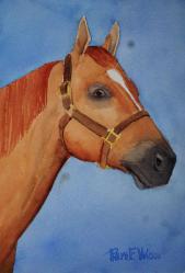 SorrelQuarterhorseMrJessPerry-7x10-220710.jpg