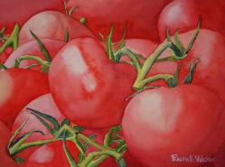 TomatoVines-14x10-201007.jpg