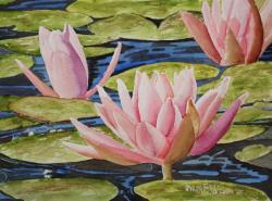 WaterLiliesforMyBirthday-14x10-250802.jpg
