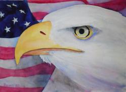 american-eagle-eye.jpg