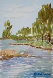 egret-american-river.jpg