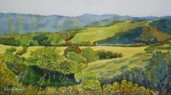 green-valley-novato-hills.jpg