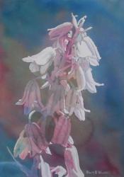 lavender-bluebells-14x20-150220.jpg