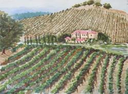 monserrat-vineyards-loomis.jpg