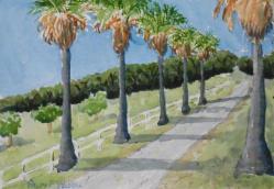 palms-on-english-colony-way.jpg