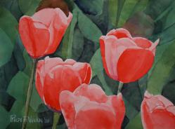 spring-tulips-14x10-240317.jpg