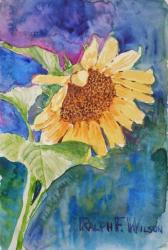 sunflower-6x9.jpg