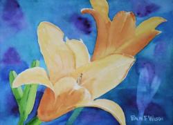 yellow-day-lilies.jpg