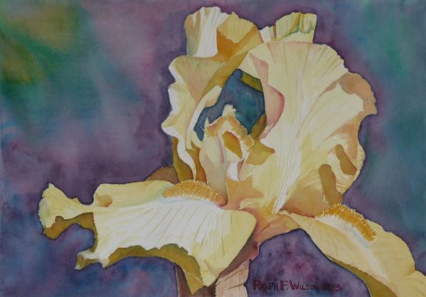 yellow-iris.jpg